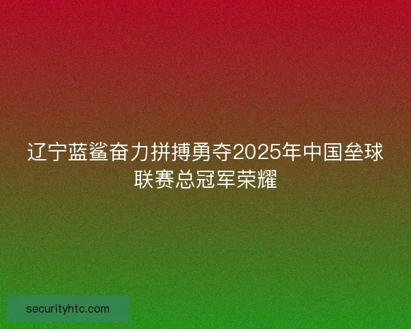 辽宁蓝鲨奋力拼搏勇夺2025年中国垒球联赛总冠军荣耀
